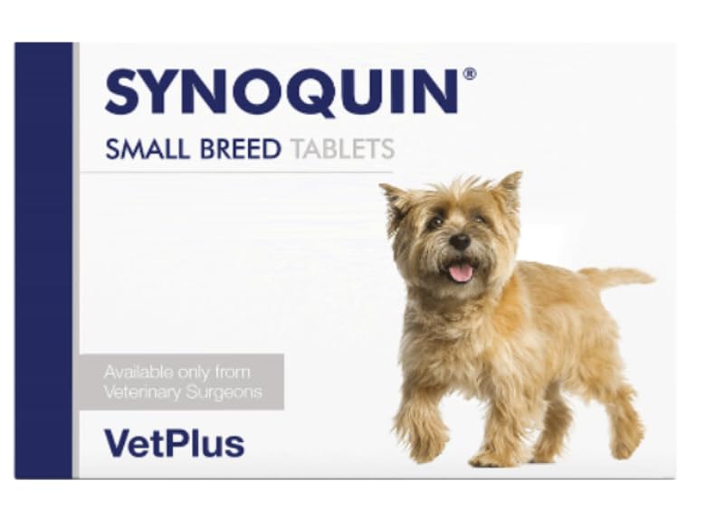 Synoquin EFA with DexahanSmall Breed - Dogs <10kg x 1