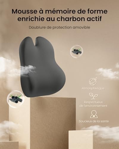 Coussin de Dossier Ergonomique en Mousse à mémoire de Forme, Coussin Lombaire pour Chaise de Bureau, siège Auto et Chaise de Bureau, Coussin Lombaire Respirant, Noir
