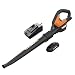 WORX WG545.6 20V 2.0Ah Cordless AIR Leaf Blower Battery and Charger Included