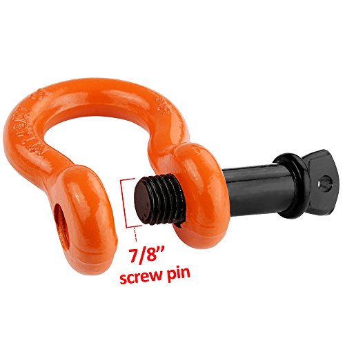 1 LIBERRWAY+Shackles+Shackle+Strength+Recovery