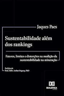 Livro Sustentabilidade além dos rankings: fatores, limites e distorções na medição da sustentabilidade na mineração