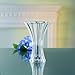 Nachtmann Saphir Collection, Crystal Vase, 8.3-Inch, Decorative Small Glass Vase for Flowers, Home Décor, and Centerpieces, Makes a Great Wedding, or Housewarming Gift, Clear