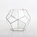 NCYP Small Silver Glass Geometric Terrarium for Succulents Air Plants, 6.89 x 6.89 x 5.9 Inches, Indoor Home Garden Planter Pot, Tabletop Decor Centerpiece, Handmade (Only Terrarium)