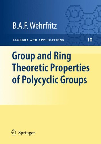 Group and Ring Theoretic Properties of Polycyclic Groups (Algebra and Applications)