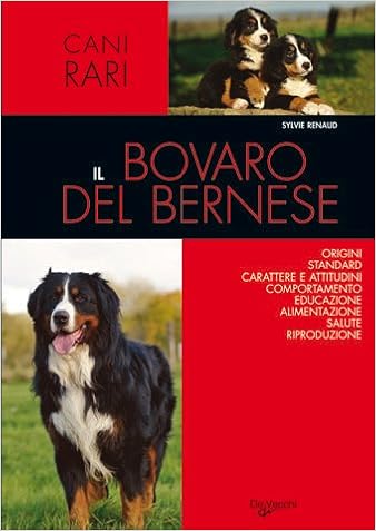 Bovaro Del Bernese Carattere Prezzo Cuccioli Cure E Consigli