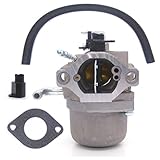 Atoparts New Carburetor For Briggs & Stratton 590399 796077 Carb Engine