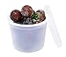 OAKRIDGE PRODUCTS Deluxe 4oz Deli Food Storage Containers Designed for Fridge and Freezer (50 Pack)