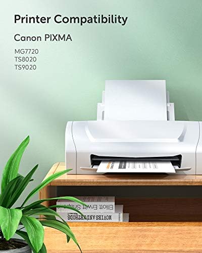 ts8020 printer