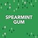 Orbit Sugarfree Gum, Bulk 20 packs, Spearmint
