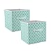 DII Non Woven Polyester Storage Bin, Aqua, Small Set of 2