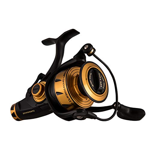 Best Catfish Reels of 2020 Complete Review