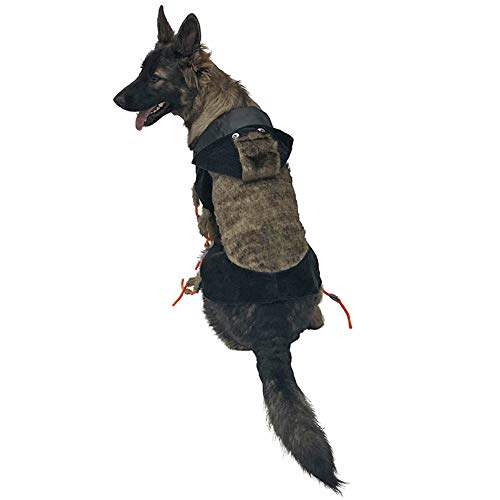 Midlee Scary Spider Dog Costume (Small)