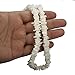 LOLIAS Hawaiian Seashell Necklace for Men Women Chip Chain Necklace Screw Clasp 18 Inches