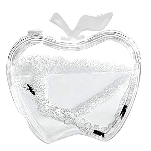 Flameer Apple Shape Ant Farm Home Social Structure Kids Toys Behavior of Ants Maze - White, as described - Thumbnail 2