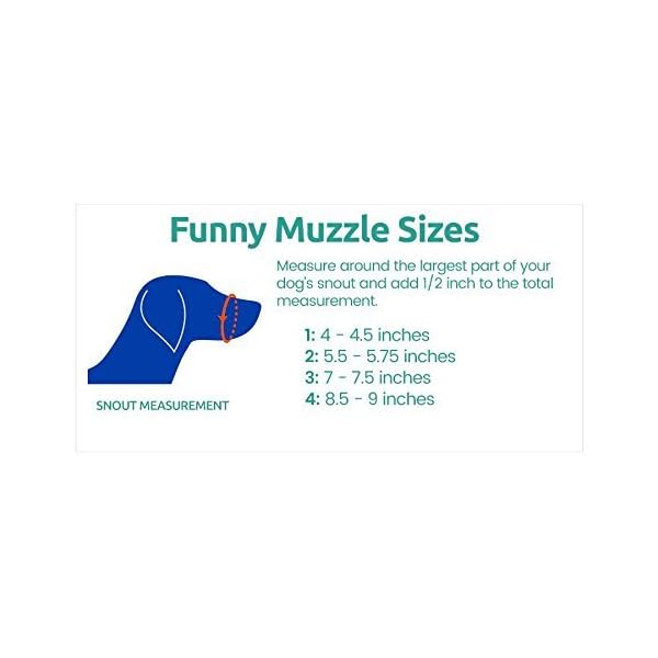 cesar funny muzzle