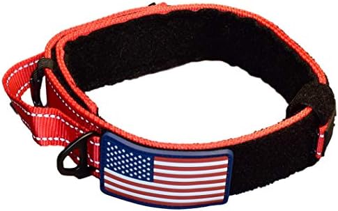 DOG COLLAR WITH CONTROL HANDLE MILITARY STYLE METAL QUICK RELEASE TACTICAL BUCKLE HEAVY DUTY 2" WIDTH NYLON WITH USA FLAG GREAT FOR HANDLING AND TRAINING LARGE CANINE MALE OR FEMALE K9