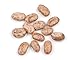 D’allesandro 25 lbs. Dry Pinto Beans, Certified Kosher & Non-GMO