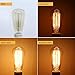 Ambimall Floor Lamps, 60W ST64 Dimmable Incandescent Glass Vintage Light, Amber Warm, 2200K, E26 Medium Base Antique Light Squirrel Cage Filament Lamp