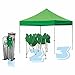 Eurmax Basic 10x10 Feet Instant Pop up Canopy with Roller Bag and Ground Mat, Kelly Green