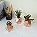 MyGift Small Artificial Plants Assorted Fake Succulents in Rose Gold Ceramic Planters Pot, Set of 3