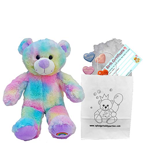 Magical Rainbow Teddy Bear - Soft Plush Toy - 10 inch / 25cm - Build your own Teddy Bear - Party Kit - no sewing
