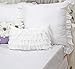 Queen's House 2-Piece White Euro Shams