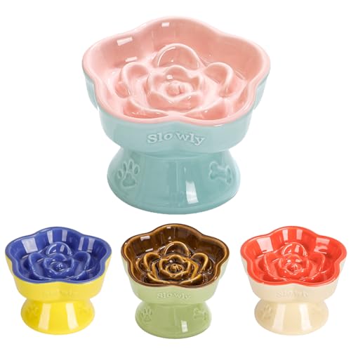 S&Q's CERAMICS Raised Slow Feeder Bowl