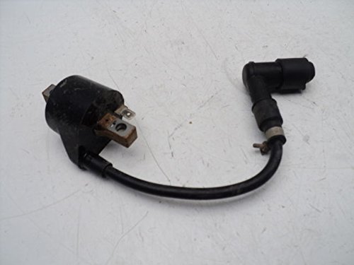 #4034 Kawasaki KDX200 KDX 200 Ignition Coil