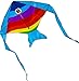 Hengda Kite Rainbow Fish Kite for Girls Boys Let Fish Swim in Sky Kite with 30m Line
