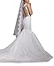 Dreamdress White Long Wedding Veils Applique Edge Tulle Bridal Veil (White)