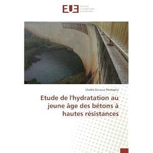 Etude de l’hydratation au jeune âge des bétons à hautes résistances Paperback – 23 May 2017