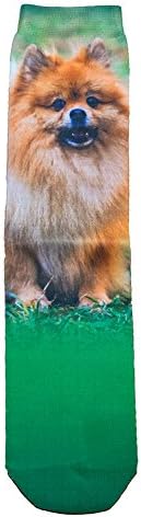 Sublimation Novelty Socks- Pomeranian
