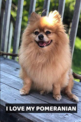 I Love My Pomeranian: A 6x9 Lined Notebook, Journal Gift for Pomeranian Lovers and Dog Lovers