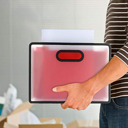Expanding File Folder, Expandable File Organizer, Multicoloured Accordion File Folder with Labels Guide and Customized Label Sticker for Office/Home/Business/Study/Paper Work (24 Pockets)