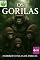 Livro Os Gorilas