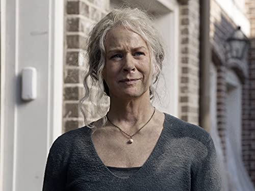 Amazon De The Walking Dead Staffel 10 Dt Ov Ansehen Prime Video