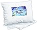 Dreamtown Kids Toddler Pillow with Pillowcase 14x19 White. Made in USA primary