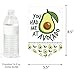 Big Dot of Happiness Hello Avocado - Birthday Party Bunting Banner - Birthday Party Decorations - Happy Birthday