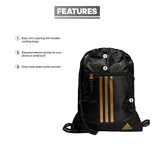 alliance 2 sackpack