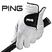 New PING Tour Men's Glove with Solite Premium Cabretta Leather with Micro-Pur Technology