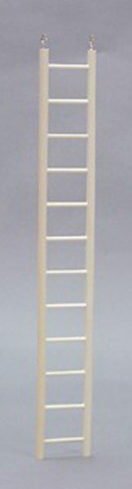 North American Pet BBO22783 Bob Ladder Keet for Pets, 24-Inch : Bird Ladders : Pet Supplies