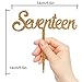 Seventeen Happy 17th Birthday Cake Topper Gold Giltter Acrylic 17 Years Old Party Decoration Supplies