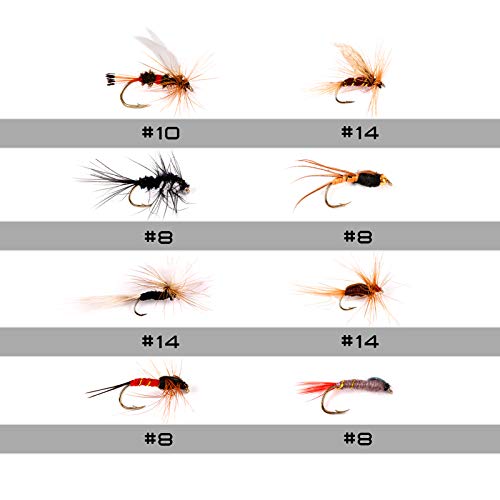 image for M MAXIMUMCATCH Maxcatch Fly Fishing Flies Kit Fly Assortment Dry/Wet F
