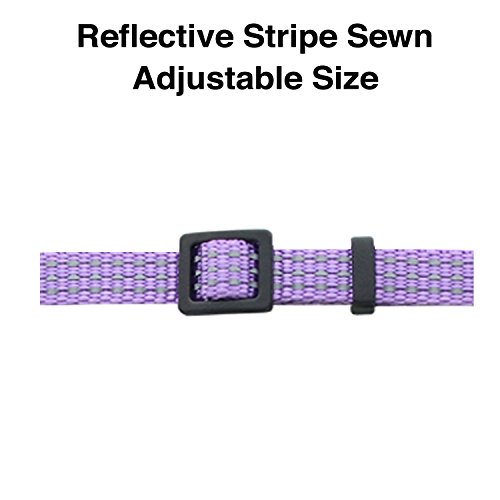 Pawtitas Reflective Cat Collar with Safety Buckle and Removable Bell Cat Collar Kitten Collar Orchid Purple Cat Collar - Thumbnail 2