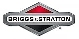 Briggs & Stratton 317897GS Check Valve Kit