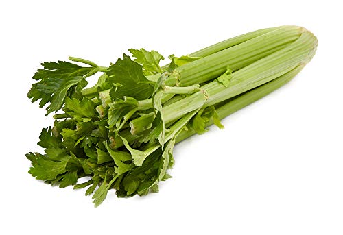 Celery, One Medium Celery, One Medium