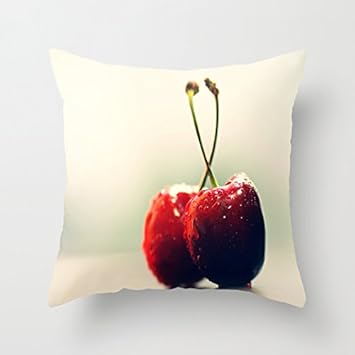 Amazon Com Gourmet Cherry Decorative Pillows Throw Pillows For