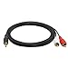 12ft 3.5mm Stereo Male to 2 RCA Male Splitter Cable