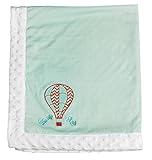 Up in the Air Balloon Embroidered Minky Dot Blanket