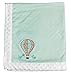 Up in the Air Balloon Embroidered Minky Dot Blanket